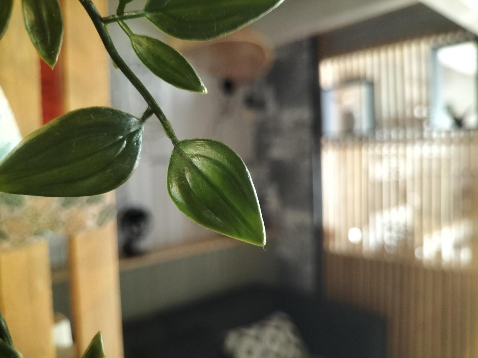 Appartamento Au Bord Du Vieux Moulin Mérignac Esterno foto