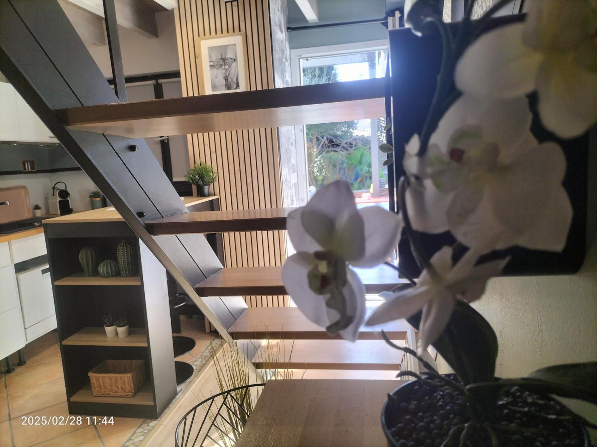 Appartamento Au Bord Du Vieux Moulin Mérignac Esterno foto